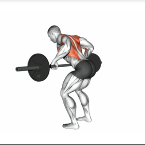 Bent Over Row (Barbell)