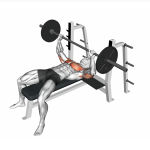 Bench Press (Barbell)